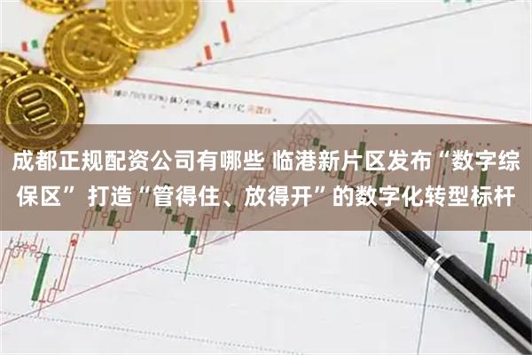 成都正规配资公司有哪些 临港新片区发布“数字综保区” 打造“管得住、放得开”的数字化转型标杆
