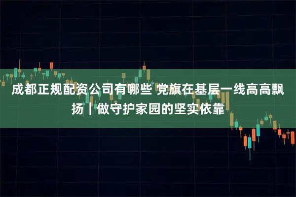 成都正规配资公司有哪些 党旗在基层一线高高飘扬｜做守护家园的坚实依靠