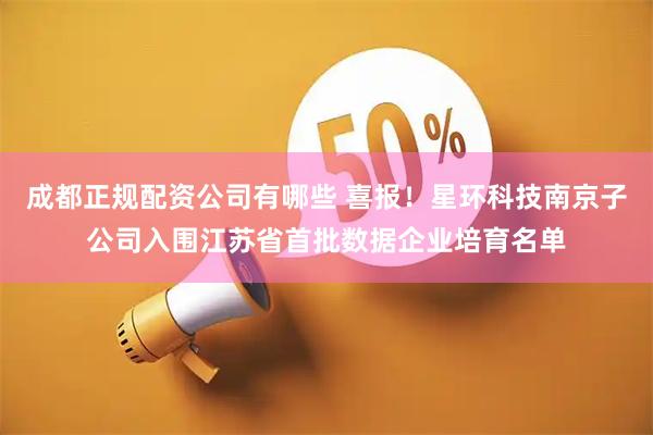 成都正规配资公司有哪些 喜报！星环科技南京子公司入围江苏省首批数据企业培育名单